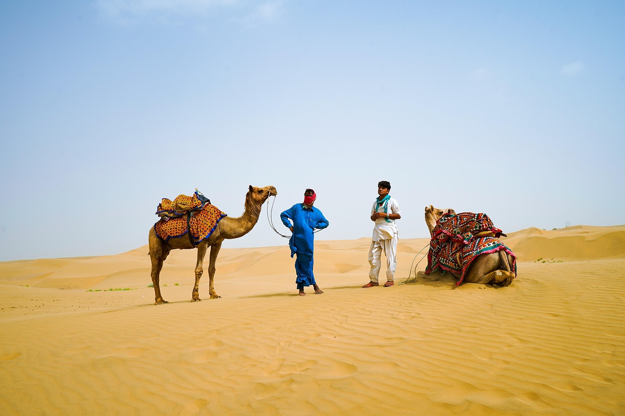 desert, camel, travel, transport, sand, dunes, men, rajasthan, jaipur, nature, india