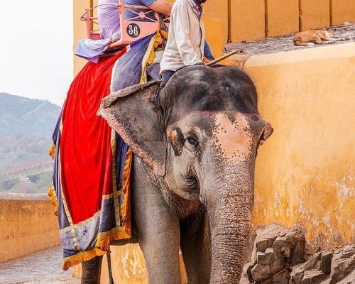 Rajasthan and New Delhi travel Photos