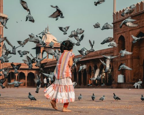 A young girl happily plays among flying pigeons in a historic outdoor setting, capturing a moment of joy and innocence.